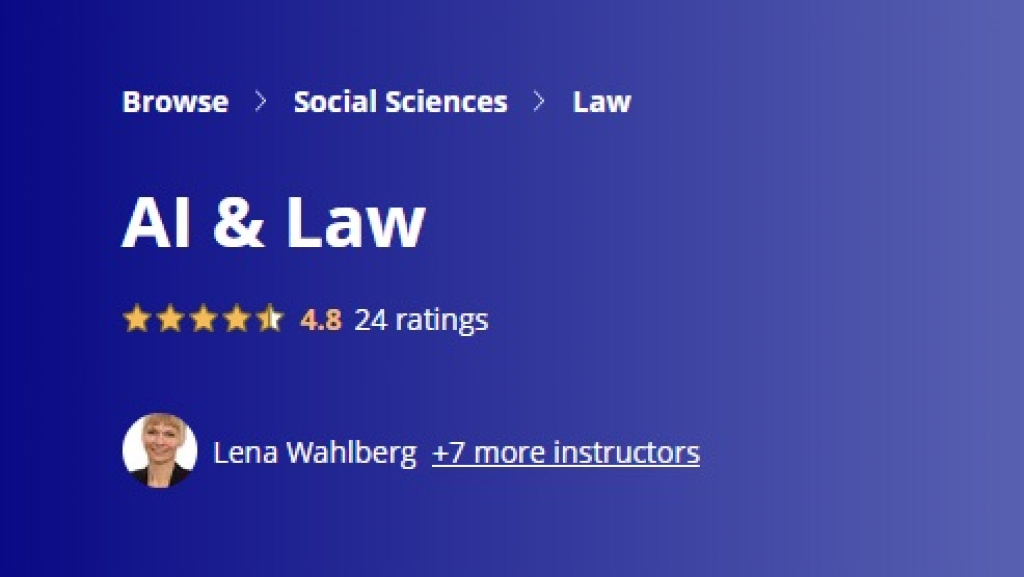 AI & Law 3C