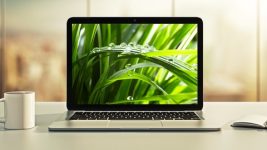 [new] spring boot 3, spring 6 & hibernate for beginners