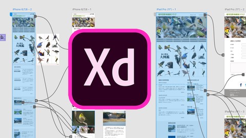 【2021年最新版】Adobe XD 手を動かして覚えるUI/UXプロトタイピング。初級から高度テクニックまで全てを学ぶ