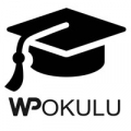 WordPress Okulu