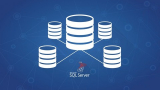 SQL Server Veritabanı Programlama: Tüm Seviyeler [+Kitap]