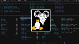 GNU/Linux de débutant à confirmé en quelques heures
