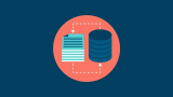 Oracle PL/SQL Fundamentals & Database Design–3course bundle