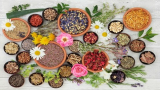 Fully Accredited Foundation Diploma Course in Naturopathy