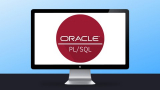 Curso Oracle Developer SQL e PL/SQL.