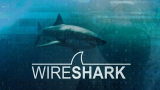 Wireshark: Packet Analysis and Ethical Hacking: Core Skills