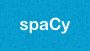 Natural Language Preprocessing Using spaCy