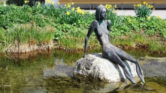 (Oxford) Diploma : Mental health – eating disorder therapy