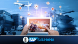 SAP : Supply Chain Logistics & Transportation in S/4 HANA