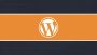 Desarrollo Profesional de Temas y Plugins de WordPress