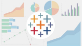 Master Data Visualization with Tableau