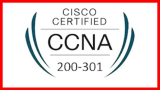 [NEW] CCNA : Cisco Certified Network Associate Practice Exam