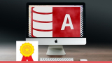 Microsoft Access Training – Practice to Perfect Skills