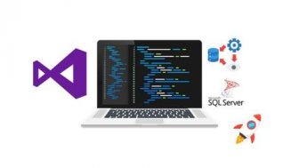 Complete ASP.NET Core MVC 6: A Project guide 2026