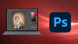 Adobe Photoshop CC For Absolute Beginner to Advanced
