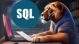 2024 Complete SQL Bootcamp from Zero to Hero in SQL