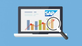 Learn SAP BEx Analyzer – Training Course
