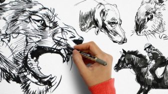 Masterclass of Animal Drawing: Beginner to Advanced