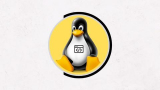 Linux Shell Scripting Beginner Course [2024]