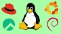 Learn everything about Linux! Updated v2026! 100+hours