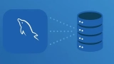 Mastering MySQL: From Beginner to Advanced