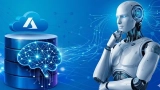 DP-800 : Microsoft SQL AI Developer Associate certification