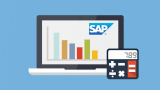 Learn SAP Financial Accounting – Online Training