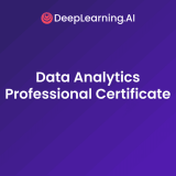 DeepLearning.AI Data Analytics Professional Certificate