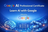 Google AI Professional Certificate