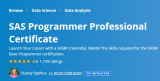 SAS Programmer Professional Certificate