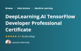 TensorFlow Developer Professional Certificate