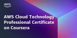 AWS Cloud Technology Consultant Professional Certificate